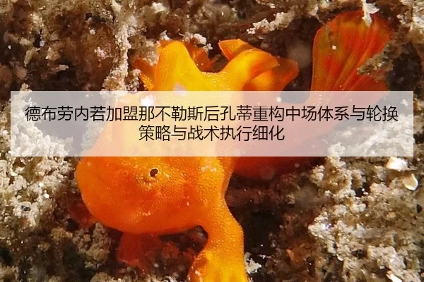 德布劳内若加盟那不勒斯后孔蒂重构中场体系与轮换策略与战术执行细化