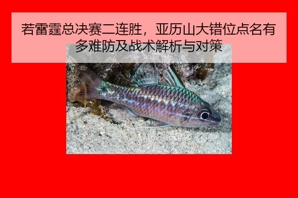 若雷霆总决赛二连胜，亚历山大错位点名有多难防及战术解析与对策